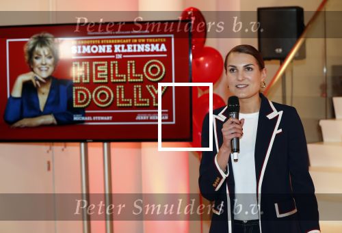 Amsterdam 21 mei 2019
iris v d Ende presnteert met haar bedrijf medialane de cast van hello Dolly met oa Simone Kleinsman Paul de Leeuw Freek Bartels Jorgen Raymann en Marjolein Touw.