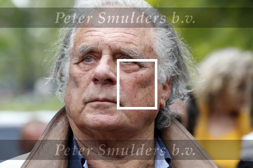 Amsterdam 17 mei 2019
Opening Art Zuid door Jan des Bouvrie. De zoon van Jan Cremer , ivan Cremer had ook een heel mooi kunstwerk gemaakt.