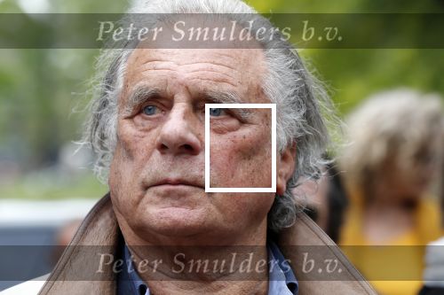 Amsterdam 17 mei 2019
Opening Art Zuid door Jan des Bouvrie. De zoon van Jan Cremer , ivan Cremer had ook een heel mooi kunstwerk gemaakt.