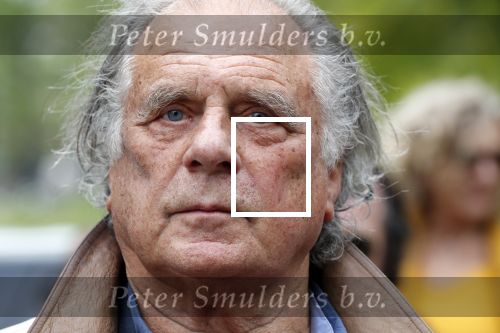 Amsterdam 17 mei 2019
Opening Art Zuid door Jan des Bouvrie. De zoon van Jan Cremer , ivan Cremer had ook een heel mooi kunstwerk gemaakt.