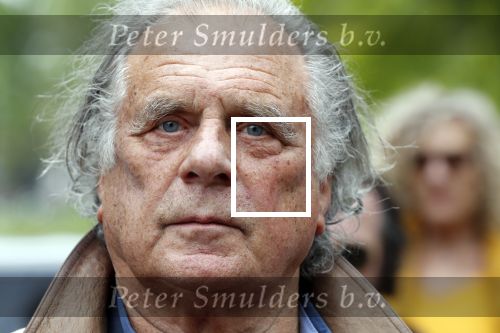 Amsterdam 17 mei 2019
Opening Art Zuid door Jan des Bouvrie. De zoon van Jan Cremer , ivan Cremer had ook een heel mooi kunstwerk gemaakt.