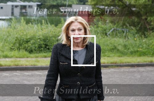 Maarssen Amsterdam 5 juni 2019
Crematie Martine Bijl op zorgvlied in Amsterdam. Janny v d Heijden