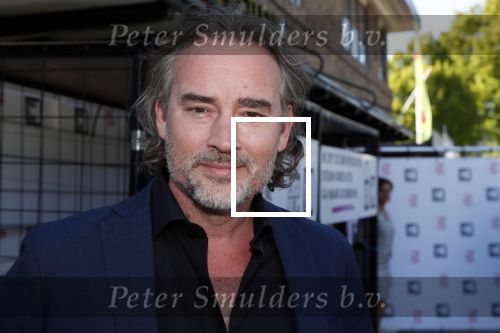 Blaricum 13 mei 2019
Free a girl gala in the red sun in Blaricum.
Jeroen Nieuwenhuize