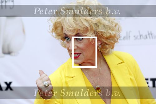 Amsterdam 2 juni 2019
Premiere huisdiergeheimen 2 in pathe arena. Karin Bloemen