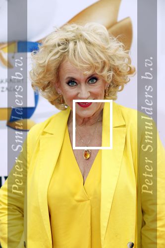Amsterdam 2 juni 2019
Premiere huisdiergeheimen 2 in pathe arena. Karin Bloemen