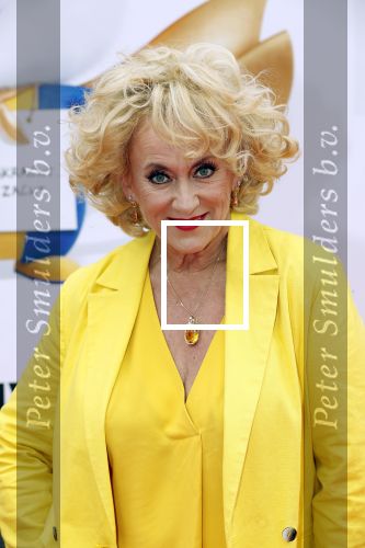 Amsterdam 2 juni 2019
Premiere huisdiergeheimen 2 in pathe arena. Karin Bloemen