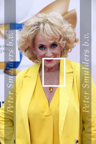 Amsterdam 2 juni 2019
Premiere huisdiergeheimen 2 in pathe arena. Karin Bloemen
