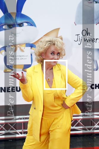 Amsterdam 2 juni 2019
Premiere huisdiergeheimen 2 in pathe arena. Karin Bloemen