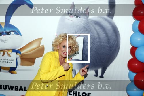 Amsterdam 2 juni 2019
Premiere huisdiergeheimen 2 in pathe arena. Karin Bloemen