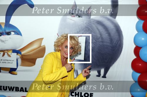 Amsterdam 2 juni 2019
Premiere huisdiergeheimen 2 in pathe arena. Karin Bloemen