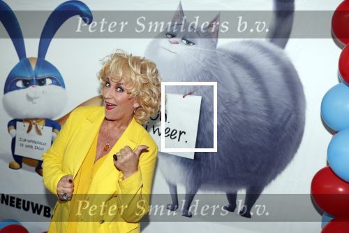 Amsterdam 2 juni 2019
Premiere huisdiergeheimen 2 in pathe arena. Karin Bloemen