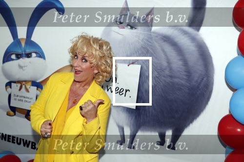 Amsterdam 2 juni 2019
Premiere huisdiergeheimen 2 in pathe arena. Karin Bloemen