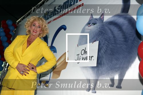 Amsterdam 2 juni 2019
Premiere huisdiergeheimen 2 in pathe arena. Karin Bloemen