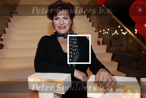 Amsterdam 21 mei 2019
iris v d Ende presnteert met haar bedrijf medialane de cast van hello Dolly met oa Simone Kleinsman Paul de Leeuw Freek Bartels Jorgen Raymann en Marjolein Touw.
