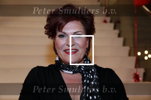 Amsterdam 21 mei 2019
iris v d Ende presnteert met haar bedrijf medialane de cast van hello Dolly met oa Simone Kleinsman Paul de Leeuw Freek Bartels Jorgen Raymann en Marjolein Touw.
