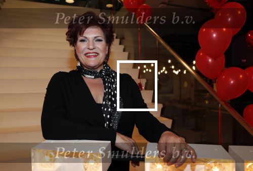 Amsterdam 21 mei 2019
iris v d Ende presnteert met haar bedrijf medialane de cast van hello Dolly met oa Simone Kleinsman Paul de Leeuw Freek Bartels Jorgen Raymann en Marjolein Touw.