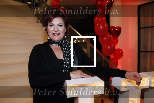 Amsterdam 21 mei 2019
iris v d Ende presnteert met haar bedrijf medialane de cast van hello Dolly met oa Simone Kleinsman Paul de Leeuw Freek Bartels Jorgen Raymann en Marjolein Touw.