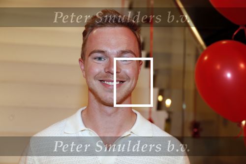 Amsterdam 21 mei 2019
iris v d Ende presnteert met haar bedrijf medialane de cast van hello Dolly 
Martijn Vogel