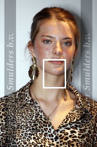 Amsterdam 28 mei 2019
Presentatie boek Rose Bertram bij mama Kelly in het Olympisch stadion. Model met haar ouders