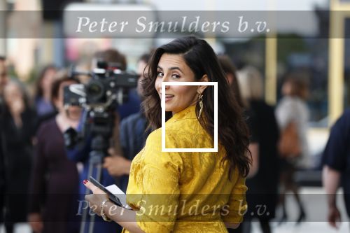 Amsterdam 29 mei 2019
Openingsavond van het Holland festival in het Amsterdam theater.
Koning Willem Alexander en Koningin Maxima zijn te gast alsmede burgemeester Femke Halsema. Nadia Moussaid
