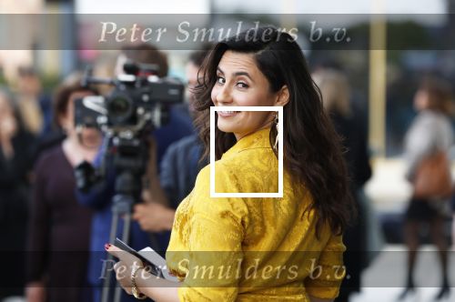 Amsterdam 29 mei 2019
Openingsavond van het Holland festival in het Amsterdam theater.
Koning Willem Alexander en Koningin Maxima zijn te gast alsmede burgemeester Femke Halsema. Nadia Moussaid