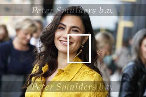 Amsterdam 29 mei 2019
Openingsavond van het Holland festival in het Amsterdam theater.
Koning Willem Alexander en Koningin Maxima zijn te gast alsmede burgemeester Femke Halsema. Nadia Moussaid