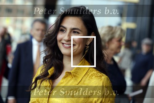 Amsterdam 29 mei 2019
Openingsavond van het Holland festival in het Amsterdam theater.
Koning Willem Alexander en Koningin Maxima zijn te gast alsmede burgemeester Femke Halsema. Nadia Moussaid