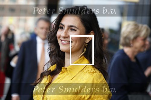 Amsterdam 29 mei 2019
Openingsavond van het Holland festival in het Amsterdam theater.
Koning Willem Alexander en Koningin Maxima zijn te gast alsmede burgemeester Femke Halsema. Nadia Moussaid