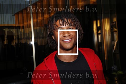 Amsterdam 28 mei 2019
Boekpresentatie Memphis Depay (heart of a lion) in het W hotel. Nathan AkÃ©