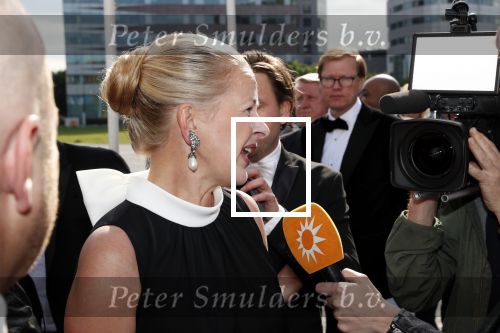 Amsterdam 25 mei 2019
Amsterdam dam diner tbv het aidsfonds in AFAS live. Prinses Mabel kwam met Viktor en Rolf