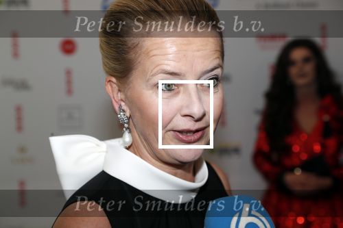 Amsterdam 25 mei 2019
Amsterdam dam diner tbv het aidsfonds in AFAS live. Prinses Mabel kwam met Viktor en Rolf