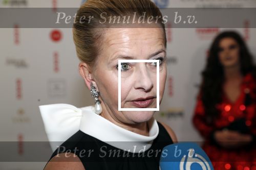 Amsterdam 25 mei 2019
Amsterdam dam diner tbv het aidsfonds in AFAS live. Prinses Mabel kwam met Viktor en Rolf