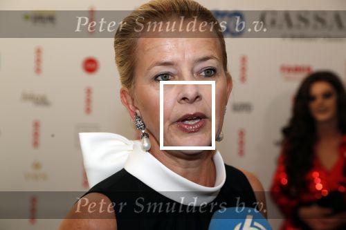 Amsterdam 25 mei 2019
Amsterdam dam diner tbv het aidsfonds in AFAS live. Prinses Mabel kwam met Viktor en Rolf