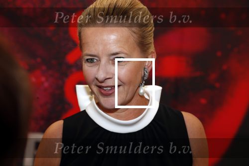 Amsterdam 25 mei 2019
Amsterdam dam diner tbv het aidsfonds in AFAS live. Prinses Mabel kwam met Viktor en Rolf
