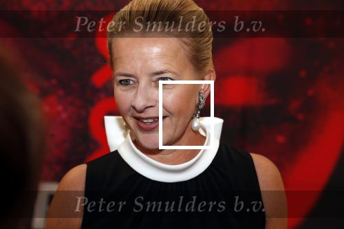 Amsterdam 25 mei 2019
Amsterdam dam diner tbv het aidsfonds in AFAS live. Prinses Mabel kwam met Viktor en Rolf