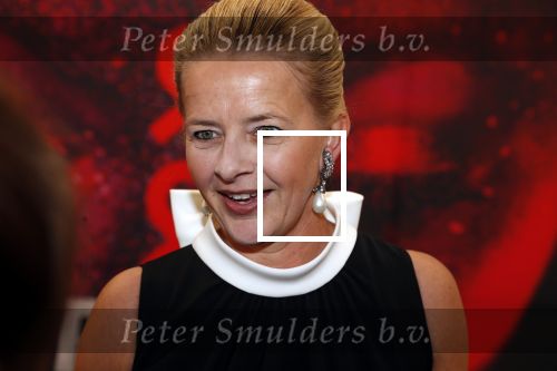 Amsterdam 25 mei 2019
Amsterdam dam diner tbv het aidsfonds in AFAS live. Prinses Mabel kwam met Viktor en Rolf