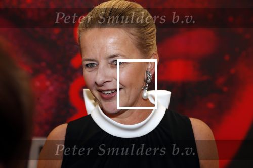 Amsterdam 25 mei 2019
Amsterdam dam diner tbv het aidsfonds in AFAS live. Prinses Mabel kwam met Viktor en Rolf