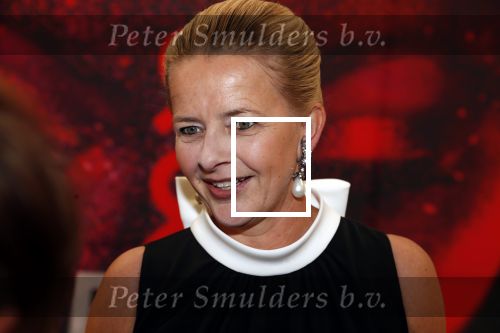 Amsterdam 25 mei 2019
Amsterdam dam diner tbv het aidsfonds in AFAS live. Prinses Mabel kwam met Viktor en Rolf