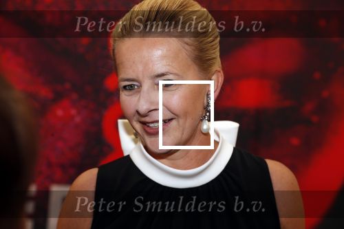 Amsterdam 25 mei 2019
Amsterdam dam diner tbv het aidsfonds in AFAS live. Prinses Mabel kwam met Viktor en Rolf