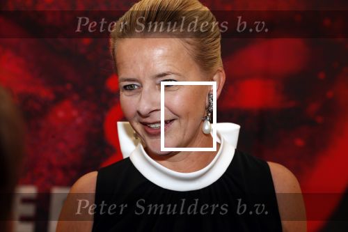 Amsterdam 25 mei 2019
Amsterdam dam diner tbv het aidsfonds in AFAS live. Prinses Mabel kwam met Viktor en Rolf