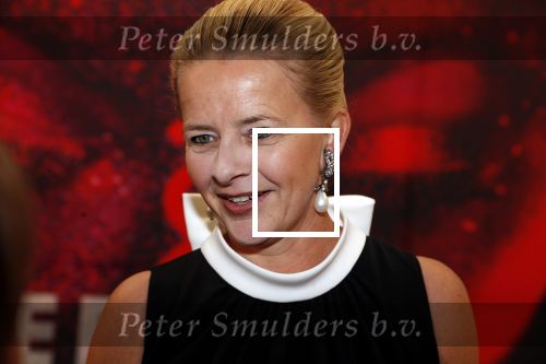 Amsterdam 25 mei 2019
Amsterdam dam diner tbv het aidsfonds in AFAS live. Prinses Mabel kwam met Viktor en Rolf