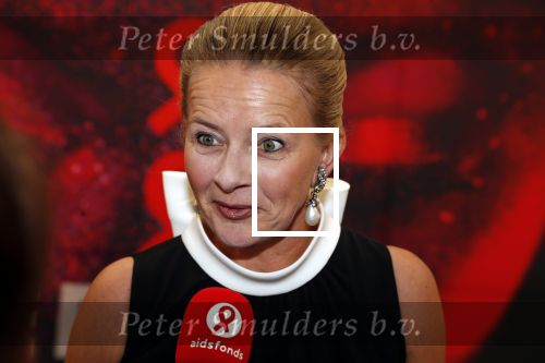 Amsterdam 25 mei 2019
Amsterdam dam diner tbv het aidsfonds in AFAS live. Prinses Mabel kwam met Viktor en Rolf