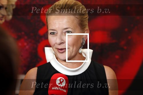 Amsterdam 25 mei 2019
Amsterdam dam diner tbv het aidsfonds in AFAS live. Prinses Mabel kwam met Viktor en Rolf
