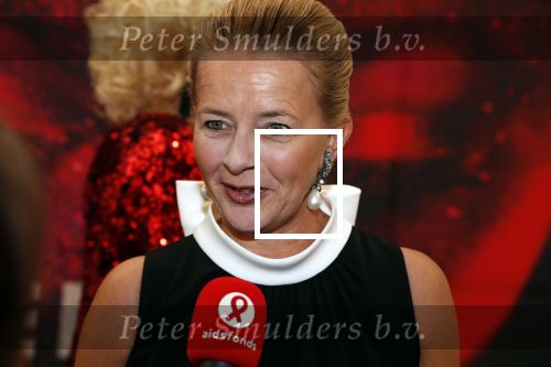 Amsterdam 25 mei 2019
Amsterdam dam diner tbv het aidsfonds in AFAS live. Prinses Mabel kwam met Viktor en Rolf