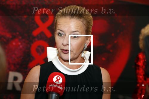 Amsterdam 25 mei 2019
Amsterdam dam diner tbv het aidsfonds in AFAS live. Prinses Mabel kwam met Viktor en Rolf