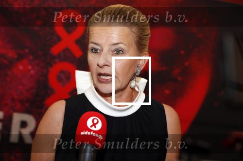 Amsterdam 25 mei 2019
Amsterdam dam diner tbv het aidsfonds in AFAS live. Prinses Mabel kwam met Viktor en Rolf