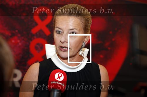 Amsterdam 25 mei 2019
Amsterdam dam diner tbv het aidsfonds in AFAS live. Prinses Mabel kwam met Viktor en Rolf