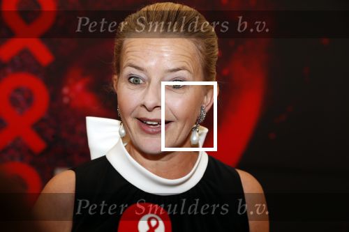 Amsterdam 25 mei 2019
Amsterdam dam diner tbv het aidsfonds in AFAS live. Prinses Mabel kwam met Viktor en Rolf