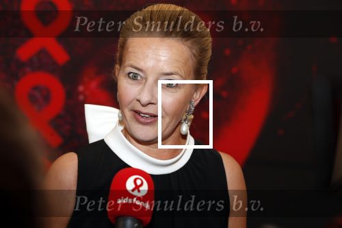Amsterdam 25 mei 2019
Amsterdam dam diner tbv het aidsfonds in AFAS live. Prinses Mabel kwam met Viktor en Rolf