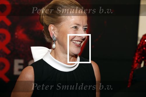 Amsterdam 25 mei 2019
Amsterdam dam diner tbv het aidsfonds in AFAS live. Prinses Mabel kwam met Viktor en Rolf